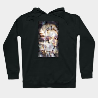 K-Pop Stay Kids Felix Fan Art Hoodie